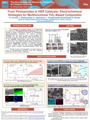 Ramunas Levinas poster presentation.pdf